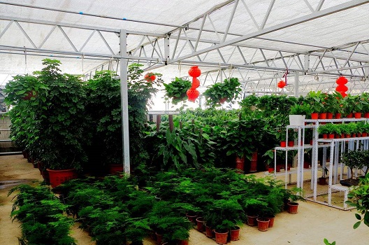 �������Ҵ���